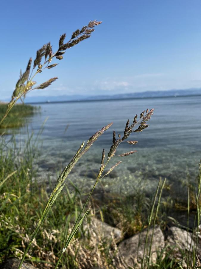 Kling Am See 腓特烈港 外观 照片