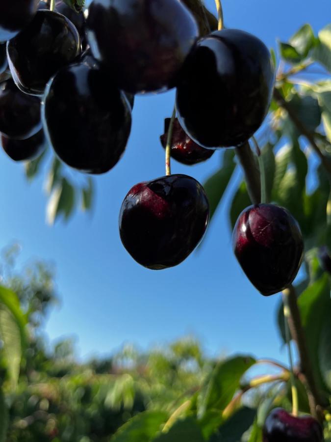 Kling Am See 腓特烈港 外观 照片